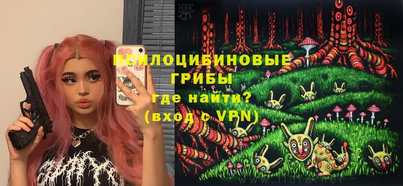 Псилоцибиновые грибы Cubensis  где купить наркотик  Богородицк 